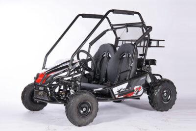 200 WOLF Fully Automatic kid's GO KART - TurboPowersports.com