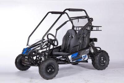 200 WOLF Fully Automatic kid's GO KART - TurboPowersports.com