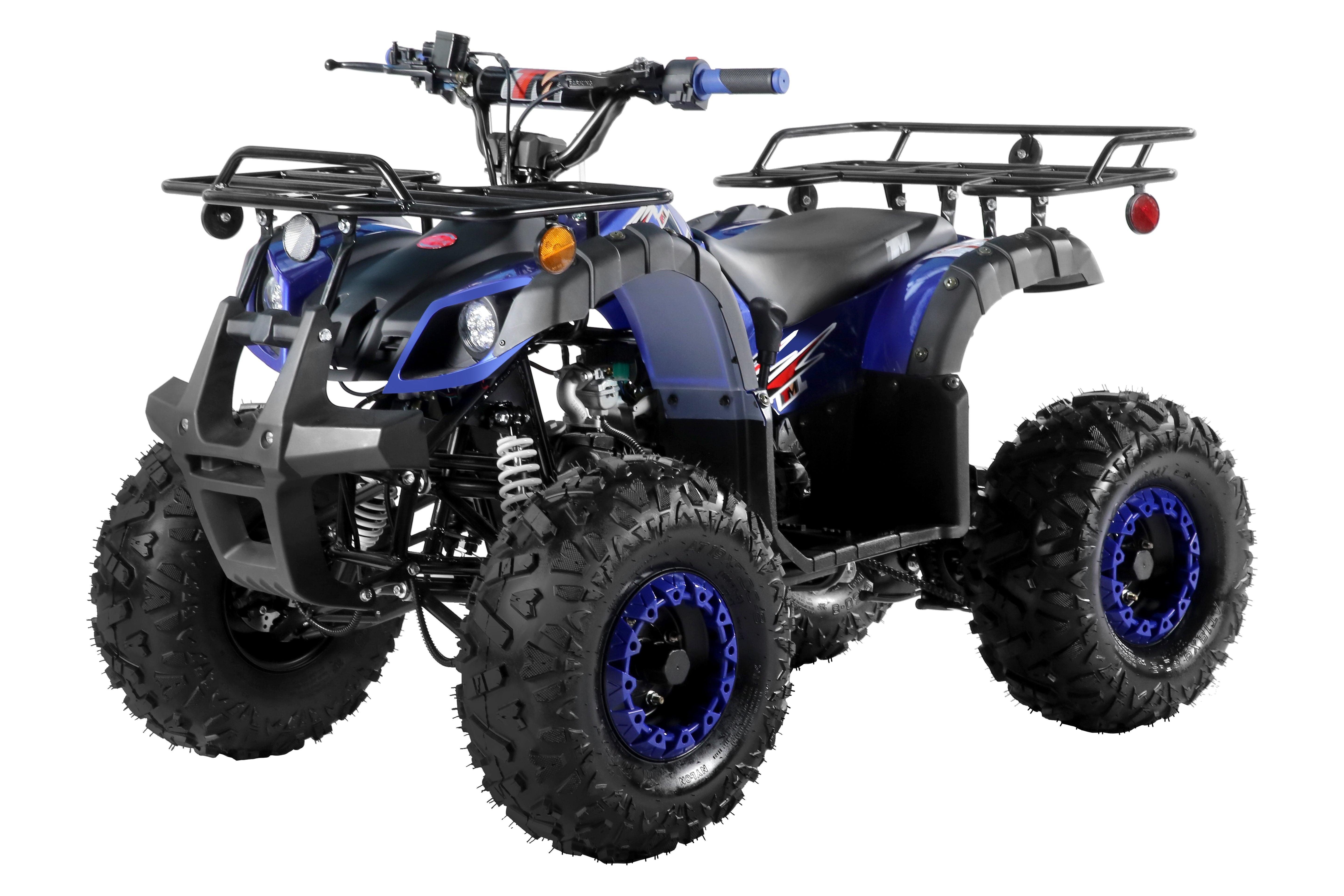 TrailMaster C125 ATV (8 Wheel) - TurboPowersports.com