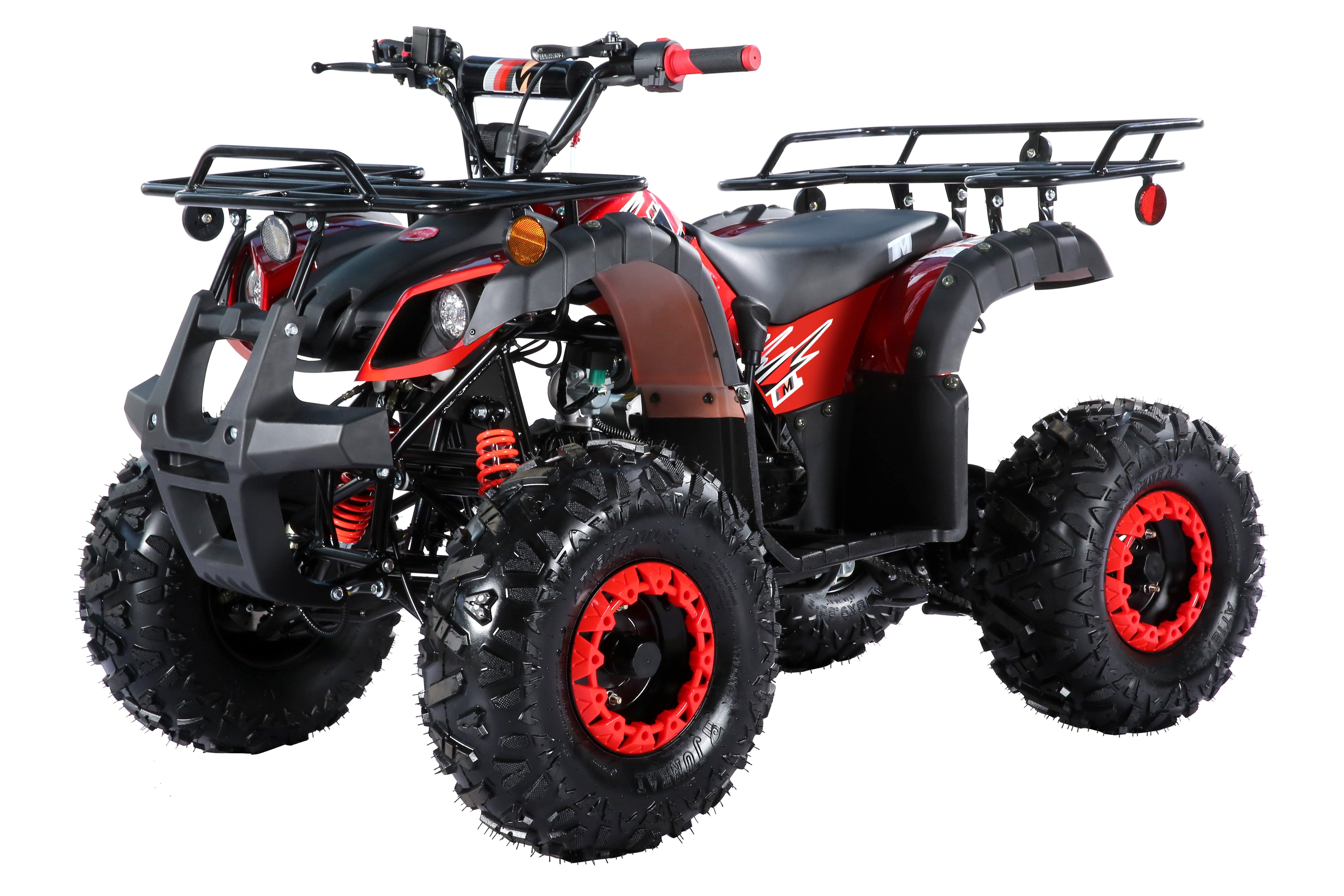 TrailMaster C125 ATV (8 Wheel) - TurboPowersports.com