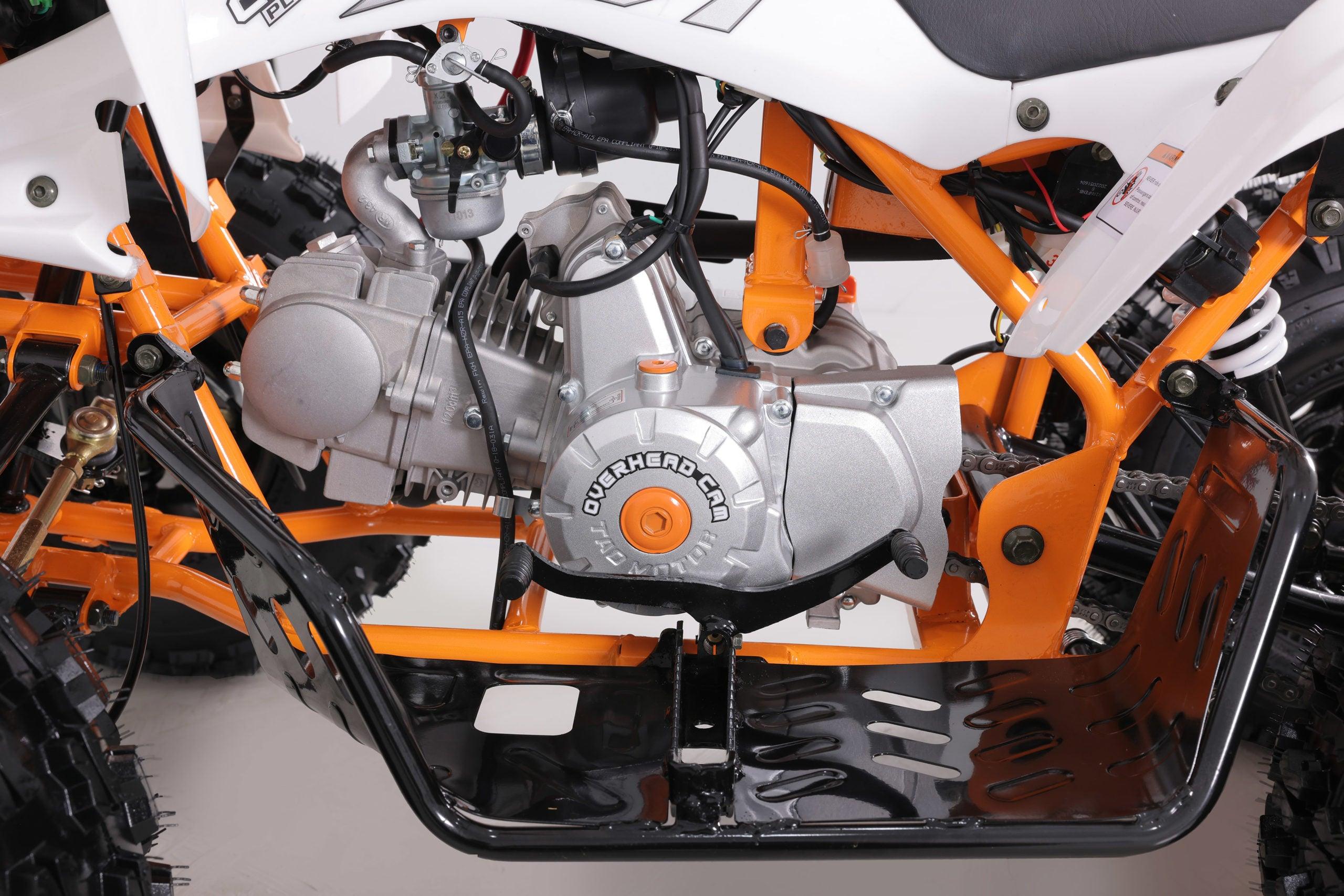 NEW CHEETAH PLATINUM 125 - LIMITED EDITION ATV - TurboPowersports.com