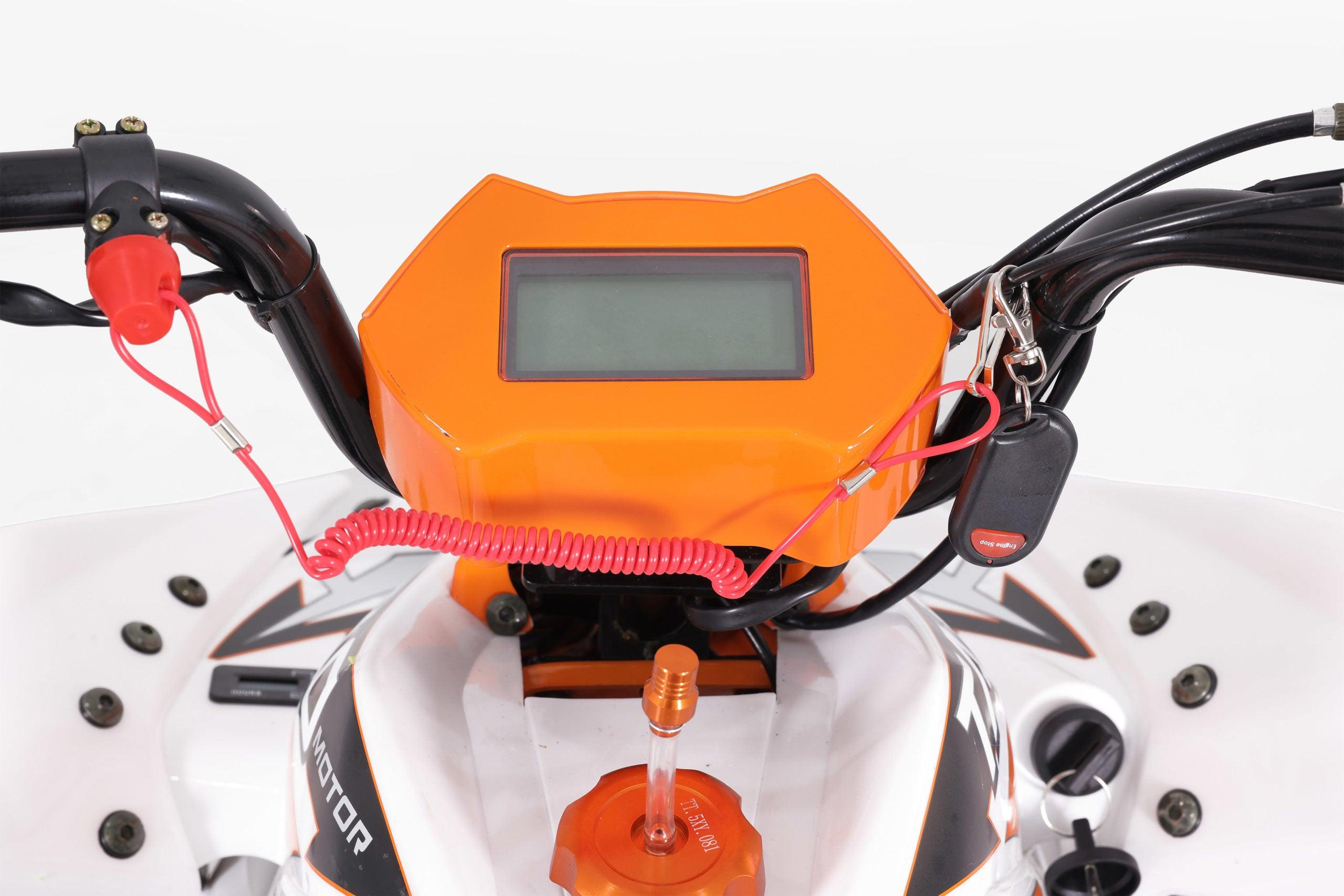 NEW CHEETAH PLATINUM 125 - LIMITED EDITION ATV - TurboPowersports.com