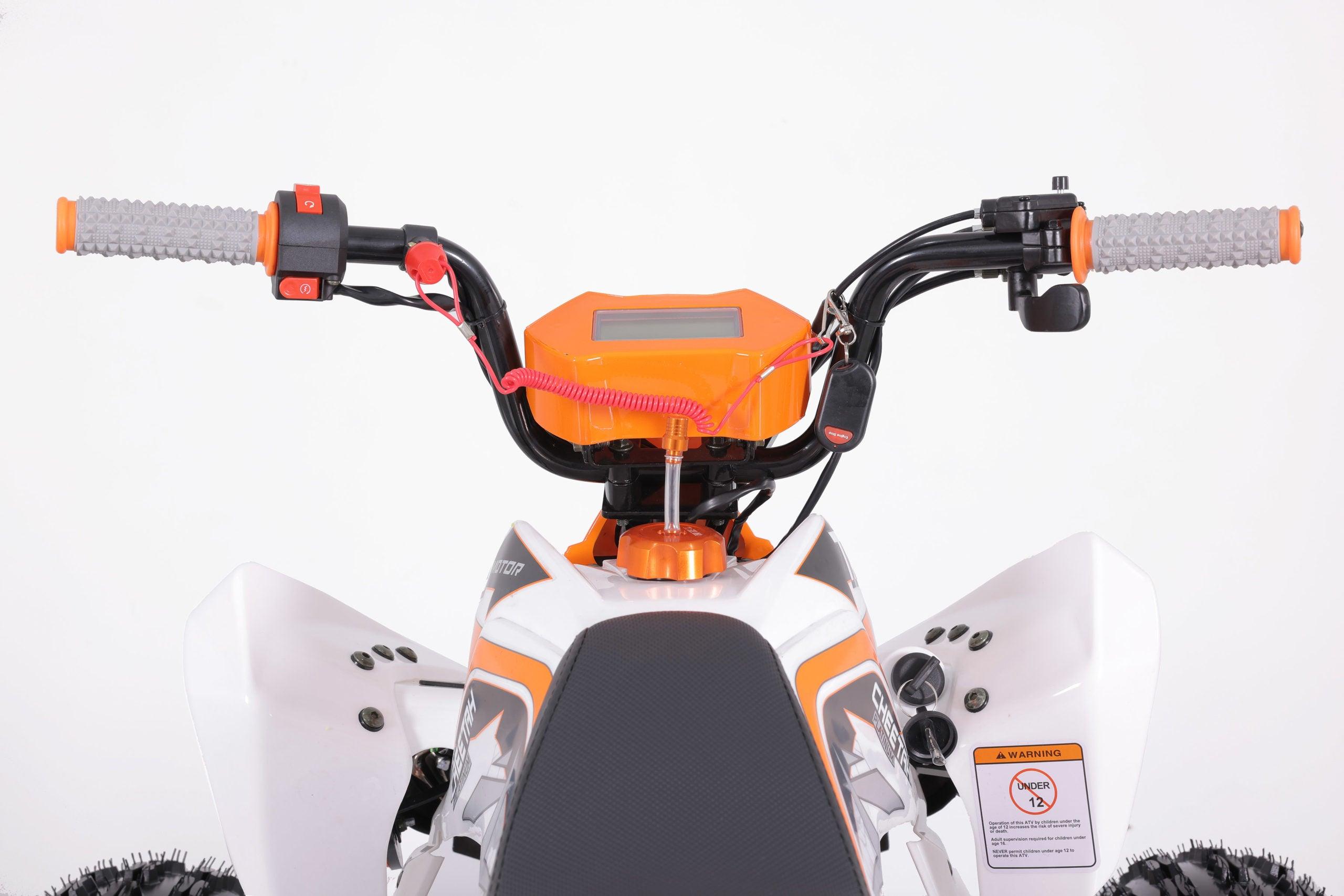 NEW CHEETAH PLATINUM 125 - LIMITED EDITION ATV - TurboPowersports.com