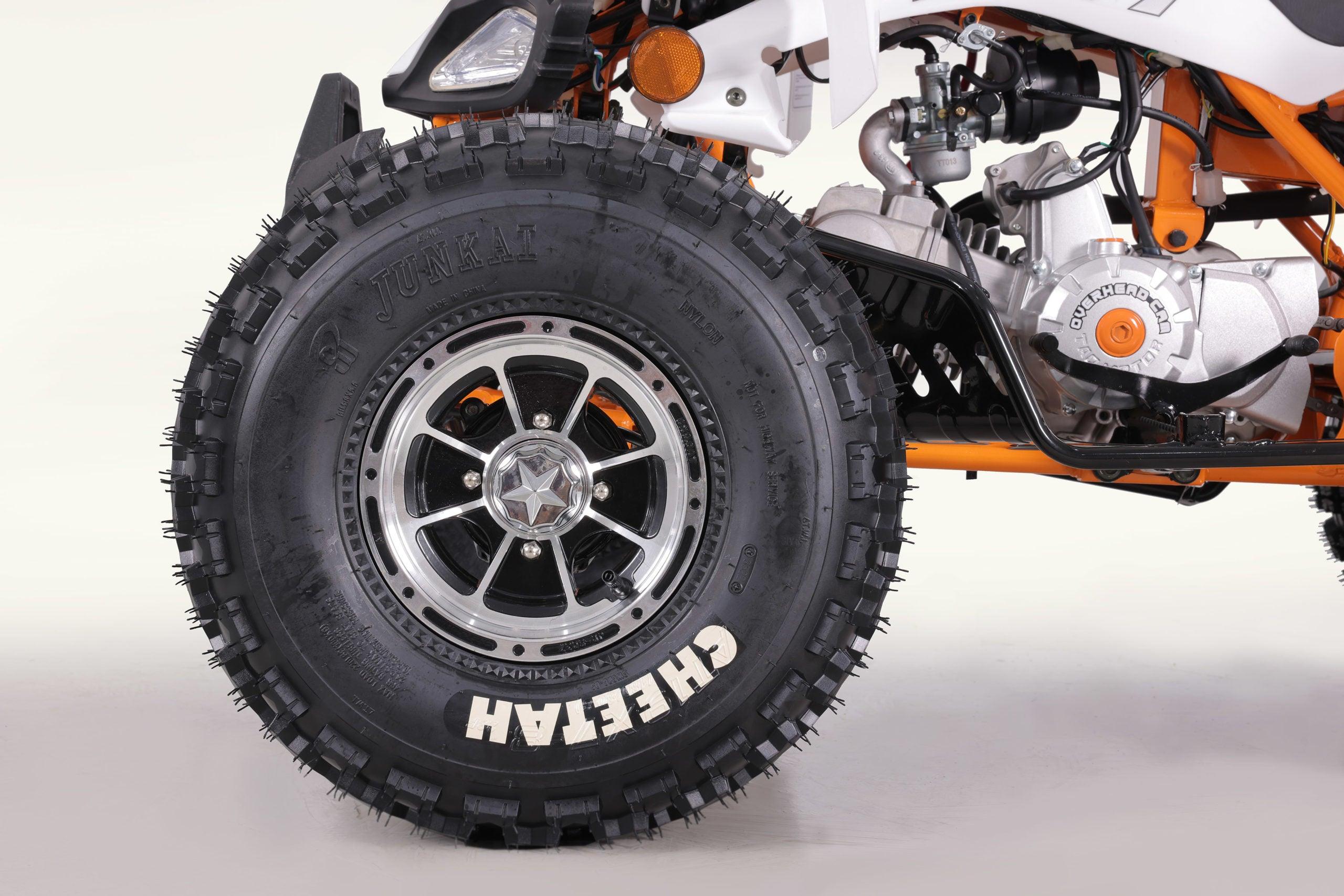 NEW CHEETAH PLATINUM 125 - LIMITED EDITION ATV - TurboPowersports.com