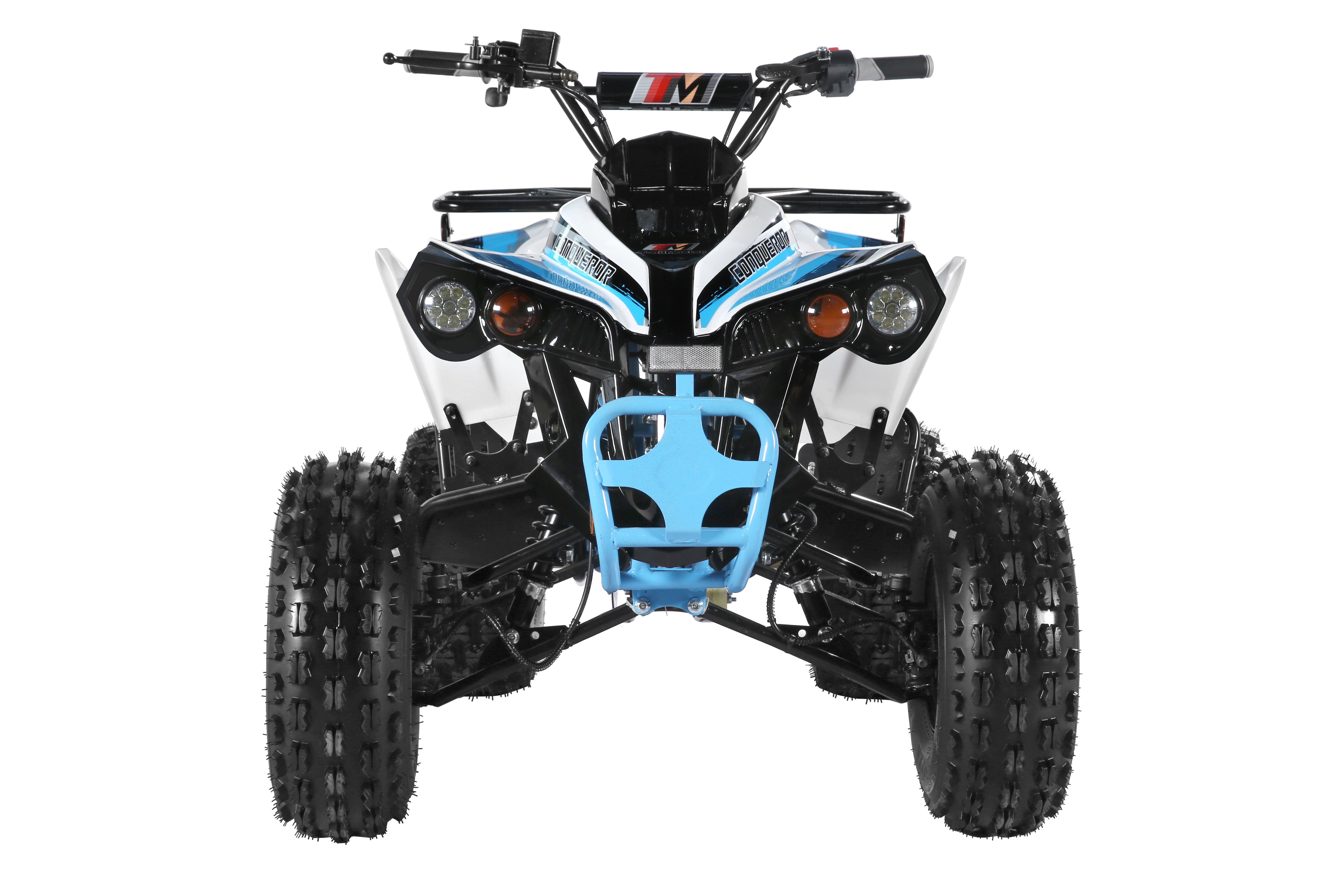 TrailMaster C125 ATV (8 Wheel) - TurboPowersports.com