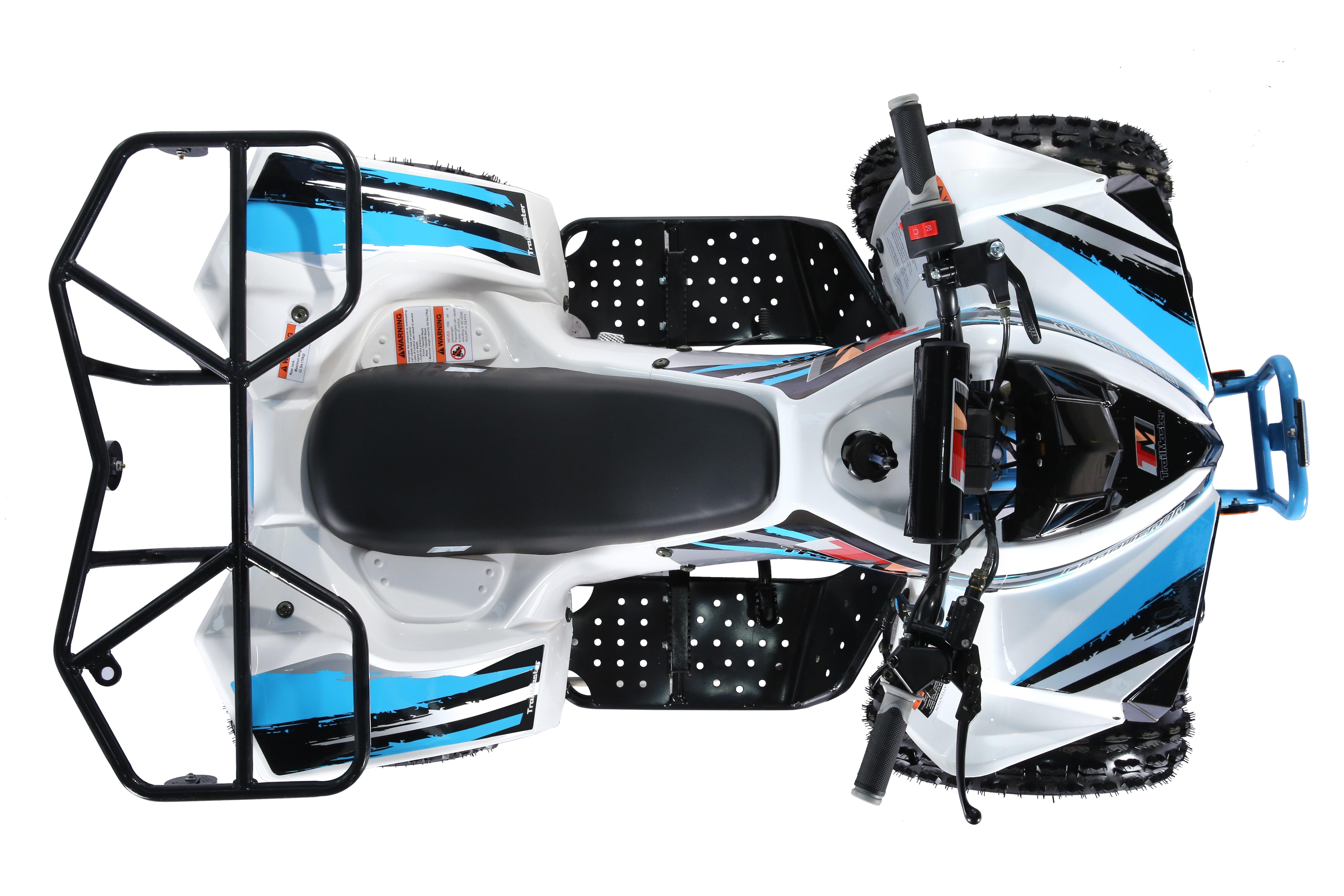 TrailMaster C125 ATV (8 Wheel) - TurboPowersports.com