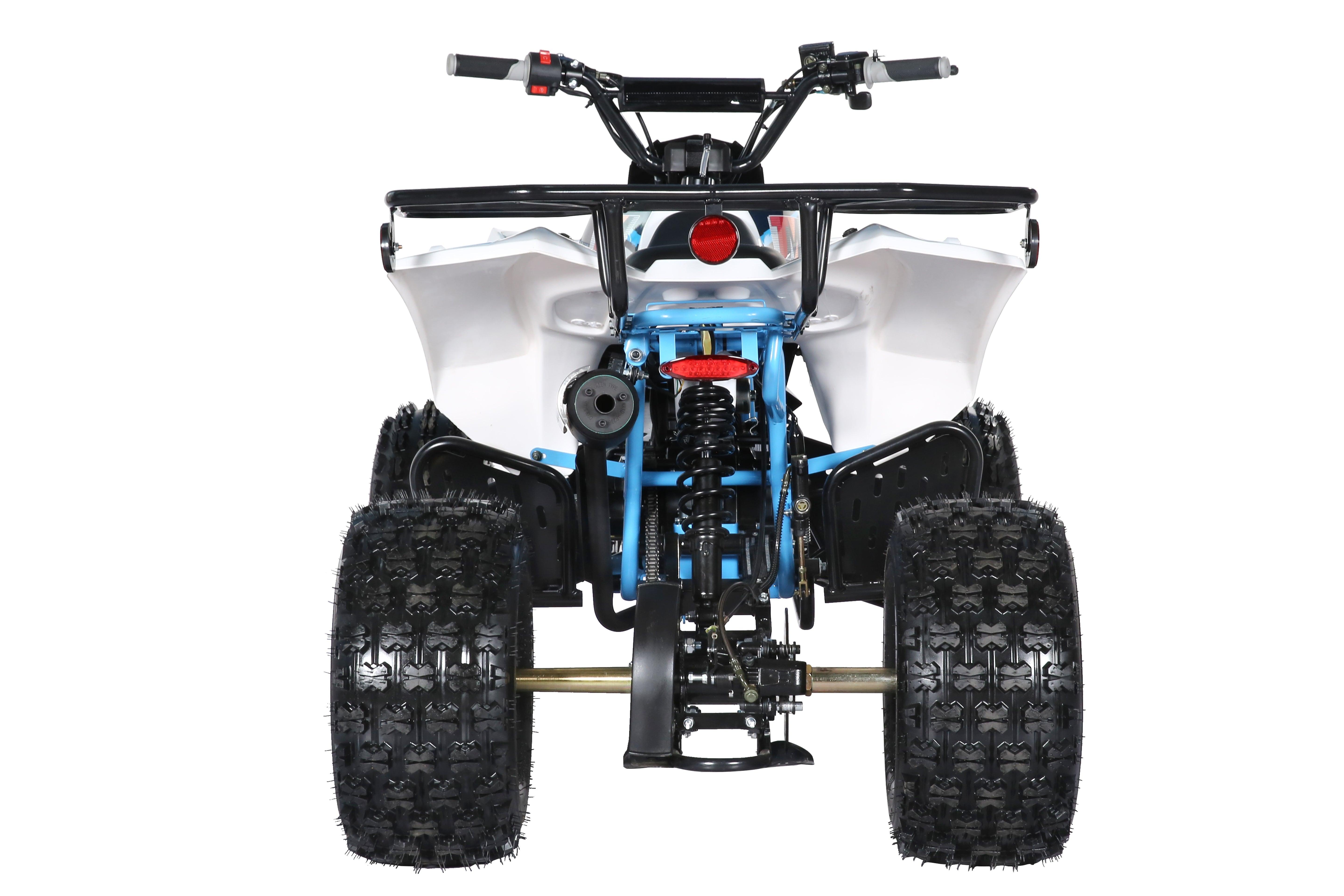 TrailMaster C125 ATV (8 Wheel) - TurboPowersports.com