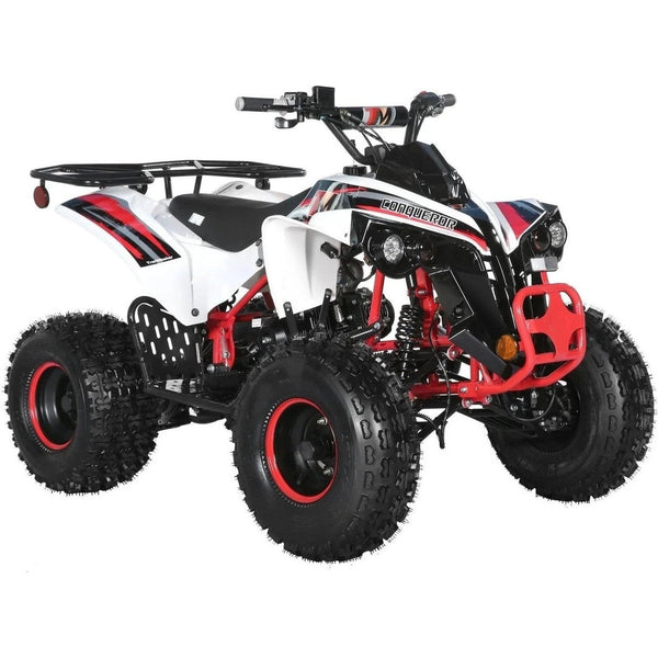 TRAILMASTER TrailMaster C125 Utility ATV Kids – TurboPowersports.com