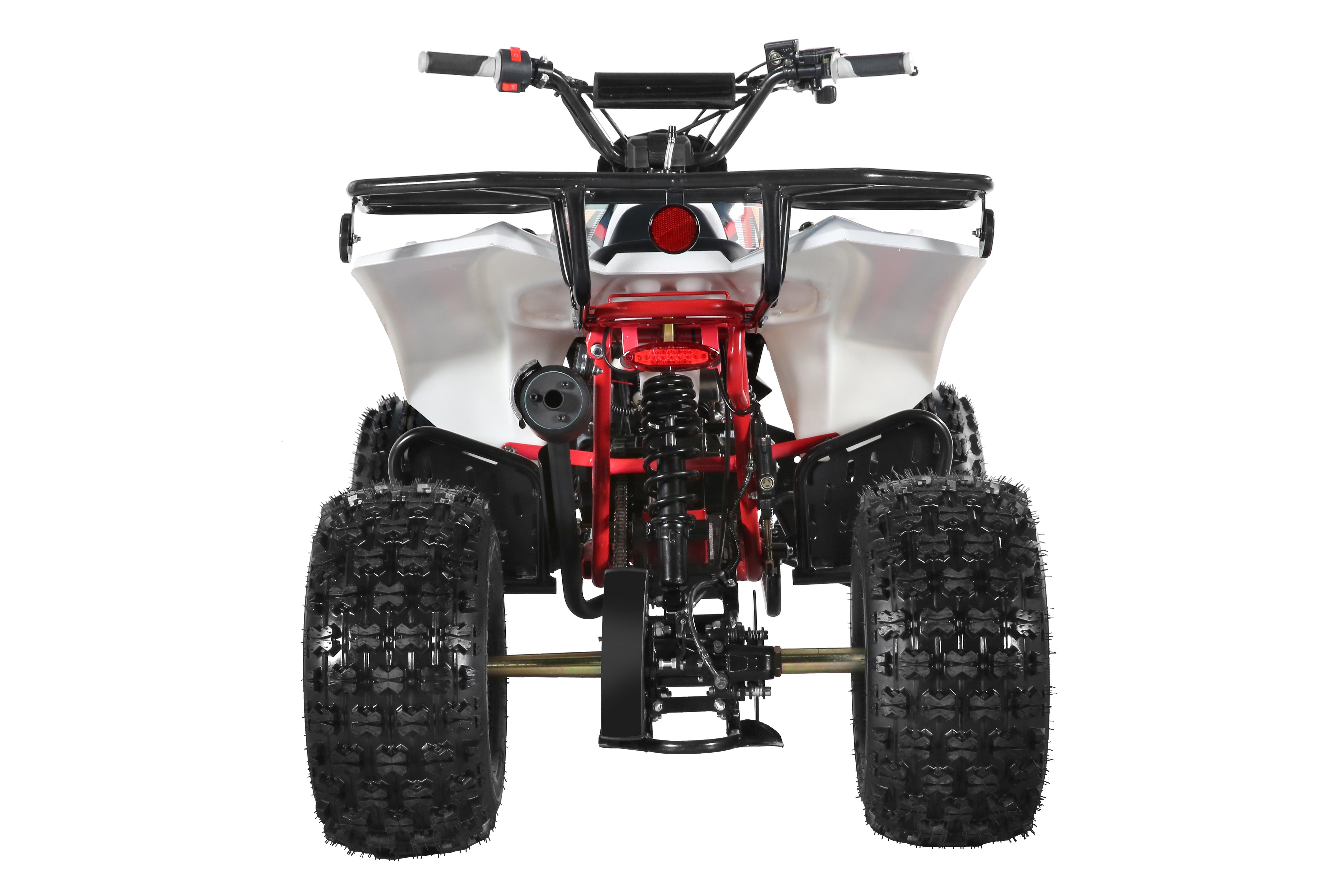 TrailMaster C125 ATV (8 Wheel) - TurboPowersports.com
