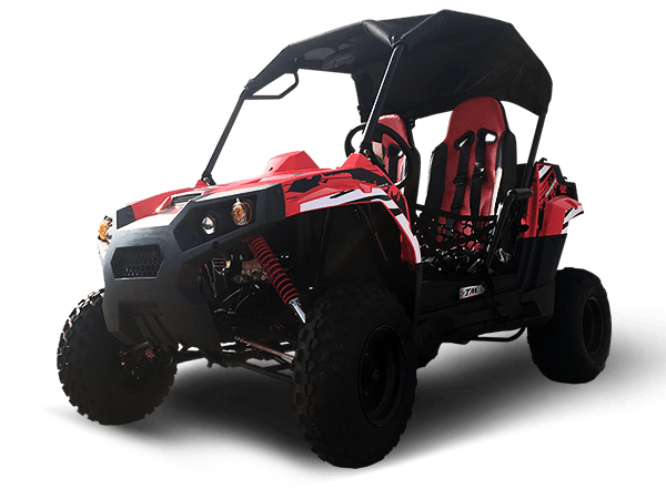 TrailMaster 200cc Challenger Side x Side UTV - TurboPowersports.com