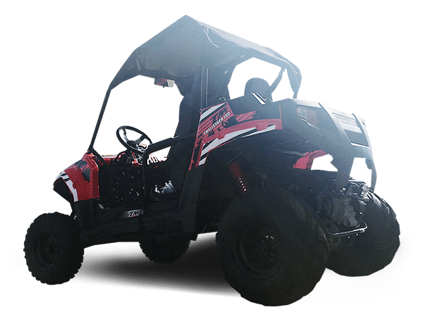 TrailMaster 200cc Challenger Side x Side UTV - TurboPowersports.com