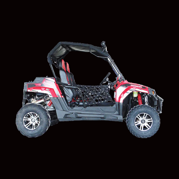 TrailMaster Challenger 300EX Side x Side UTV | EFI