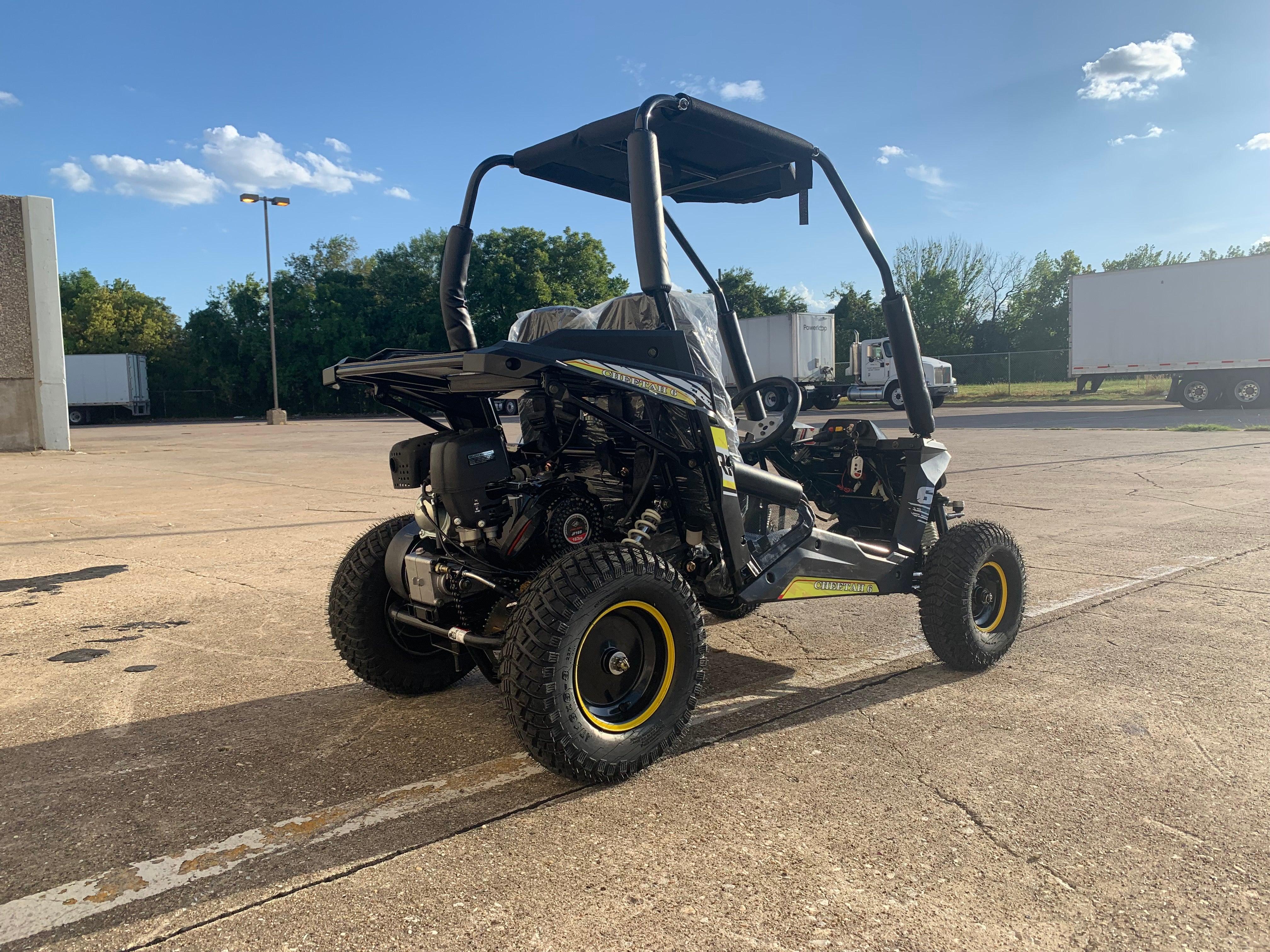 TrailMaster Cheetah 6 Go Kart - TurboPowersports.com