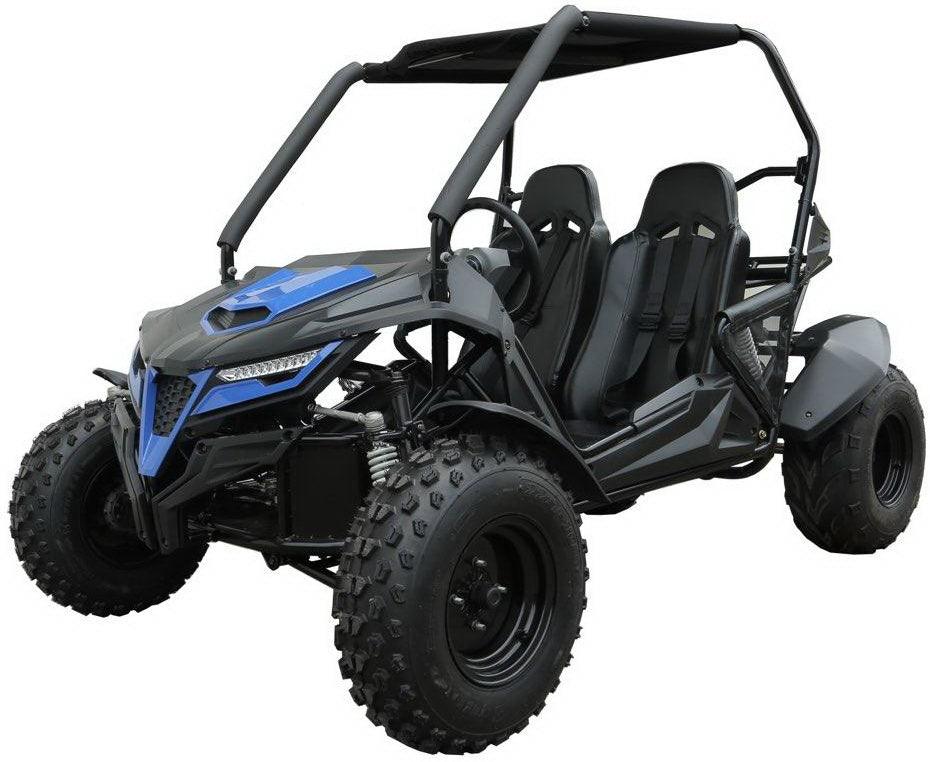 Trailmaster Cheetah 200 Go kart ,Upgraded rear end, high back seats, Full Welded Roll Cage - TurboPowersports.com