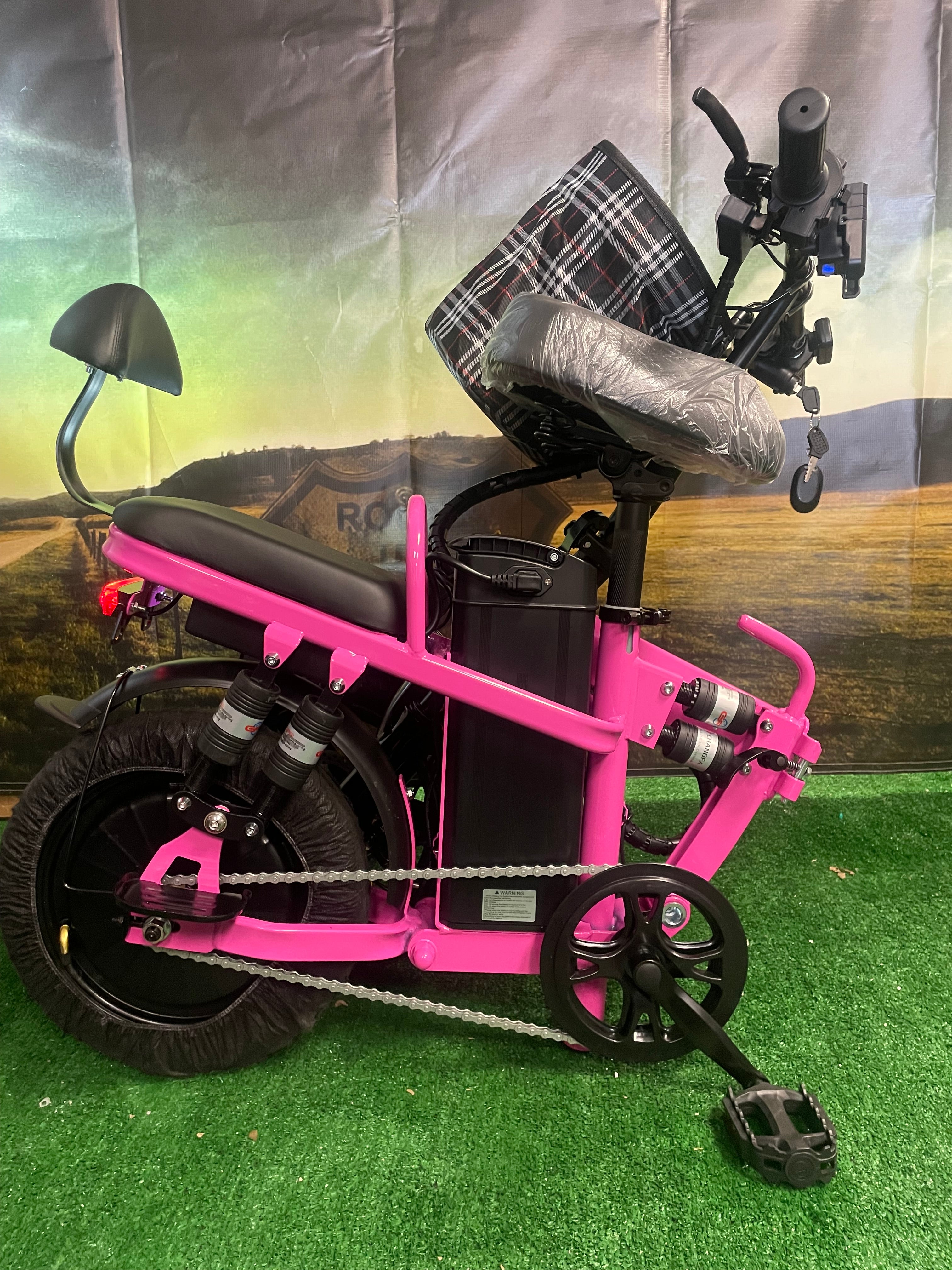 Scooter Seg de movilidad eléctrica EW-18 STAND-N-RIDE 350w