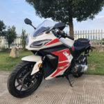 250 EFI FALCON XR Automatic Motorcycle Scooter - TurboPowersports.com