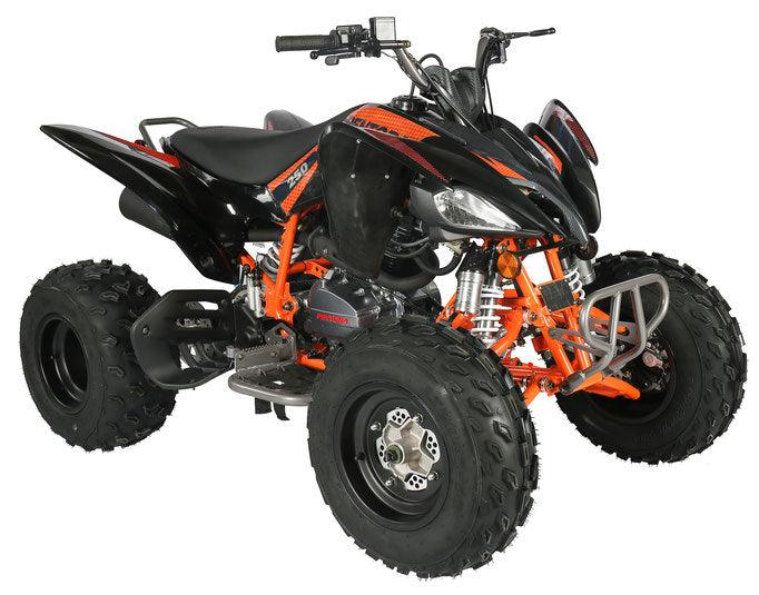 PENTORA 250CC SPORT MANUAL CLUTCH ATV - TurboPowersports.com
