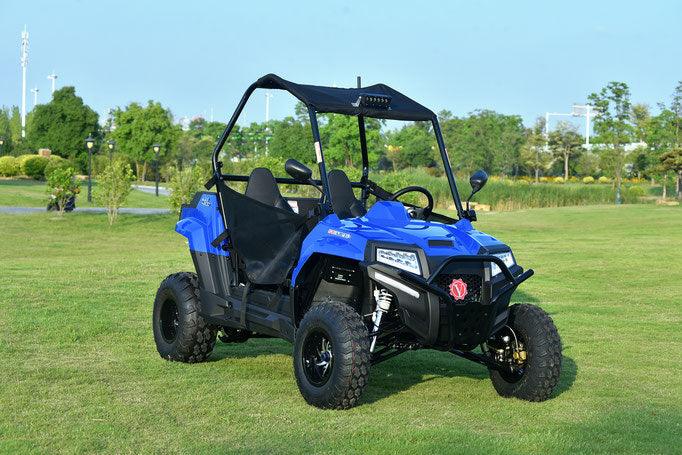 BLADE 200UTV EFI - TurboPowersports.com