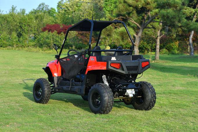 BLADE 200UTV EFI - TurboPowersports.com