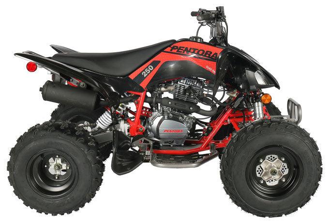 PENTORA 250CC SPORT MANUAL CLUTCH ATV - TurboPowersports.com