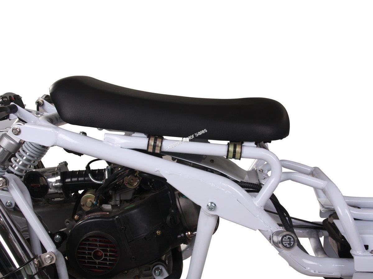 ICEBEAR MADDOG TRIKE 50cc PST50-19N - TurboPowersports.com