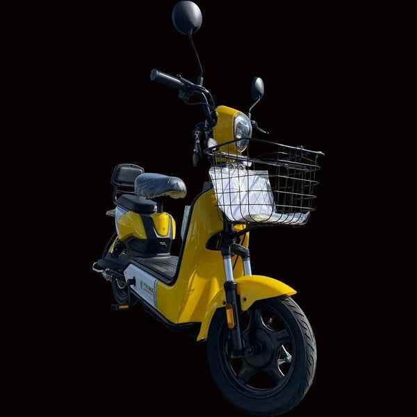 the_SCOOT_E_SCOOTER_48V20AMP_g