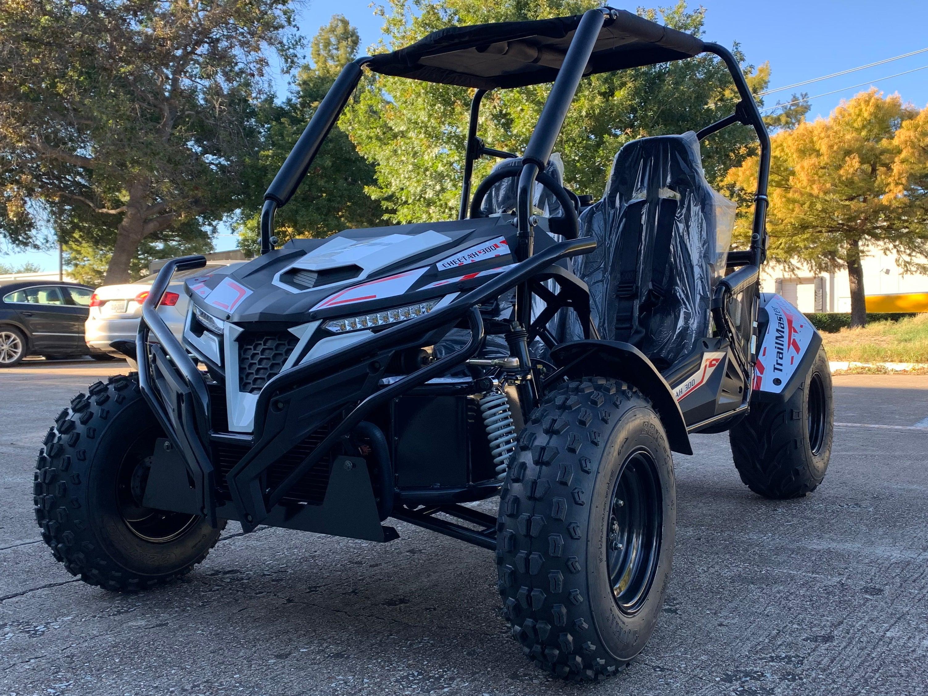 Trailmaster Cheetah 300E Off Road UTV/Go kart 18 HP Fuel Injected, Upgraded rear suspension - TurboPowersports.com