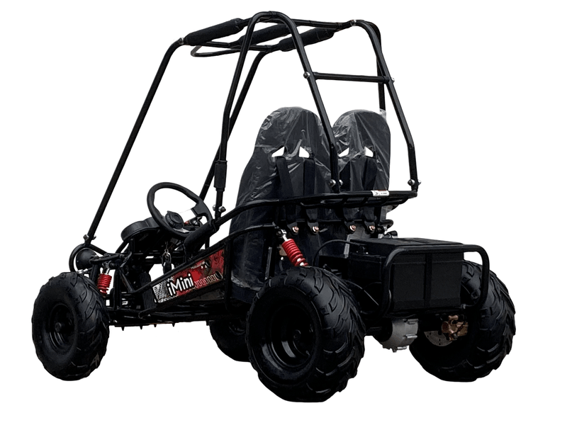 TrailMaster Cheetah 6 Go Kart - TurboPowersports.com