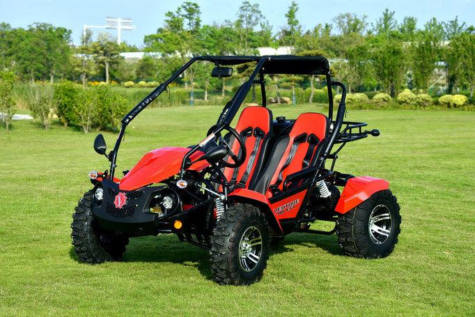 VENTURE 200 EFI AUTOMATIC GOKART - TurboPowersports.com