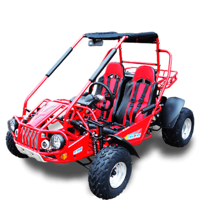 TM BOBCAT 300 XRS GO KART BUGGY - TurboPowersports.com