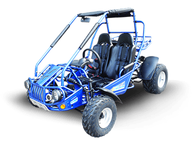 TM BOBCAT 300 XRS GO KART BUGGY - TurboPowersports.com