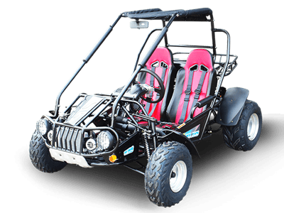 TM BOBCAT 300 XRS GO KART BUGGY - TurboPowersports.com