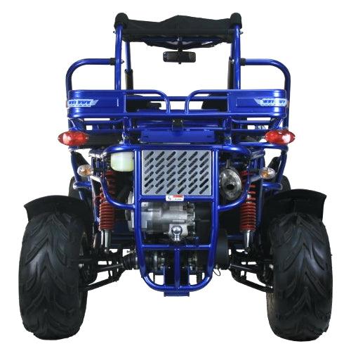 300cc Go Kart XRX-E EFI Fuel Injected Automatic CVT w/Reverse Dune Buggy - TurboPowersports.com