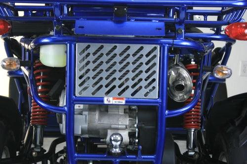 300cc Go Kart XRX-E EFI Fuel Injected Automatic CVT w/Reverse Dune Buggy - TurboPowersports.com