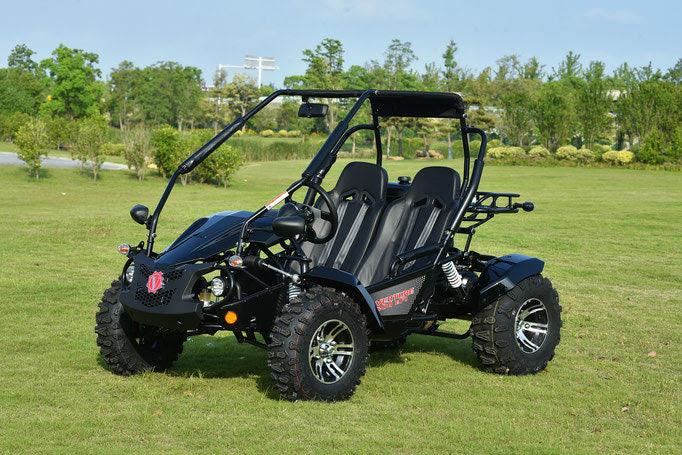 VENTURE 200 EFI AUTOMATIC GOKART - TurboPowersports.com