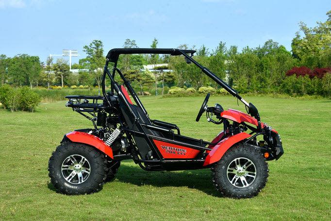 VENTURE 200 EFI AUTOMATIC GOKART - TurboPowersports.com