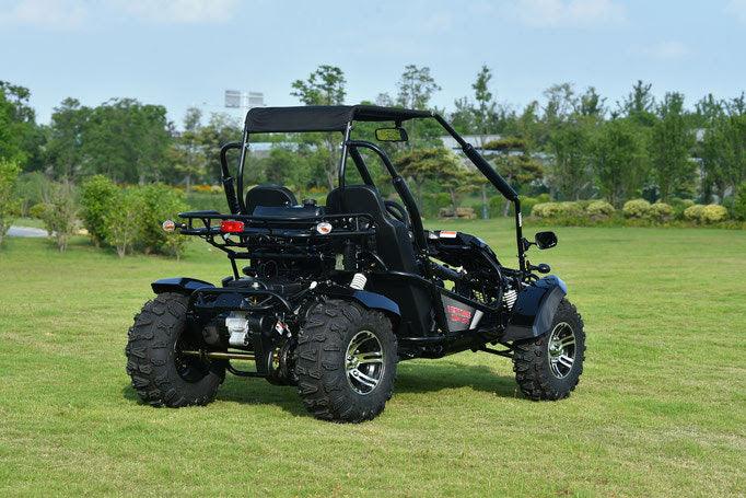 VENTURE 200 EFI AUTOMATIC GOKART - TurboPowersports.com