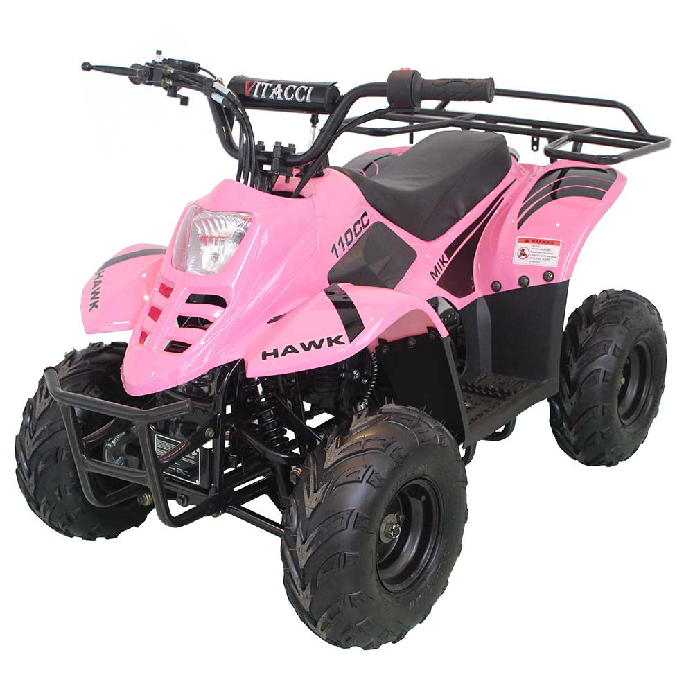 HAWK 110CC AUTOMATIC ATV - TurboPowersports.com