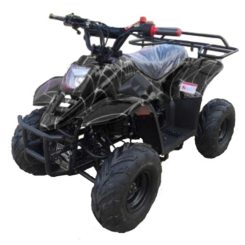 HAWK 110CC AUTOMATIC ATV - TurboPowersports.com