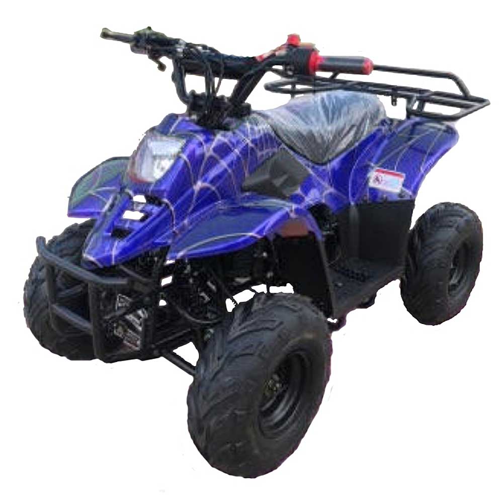 HAWK 110CC AUTOMATIC ATV - TurboPowersports.com