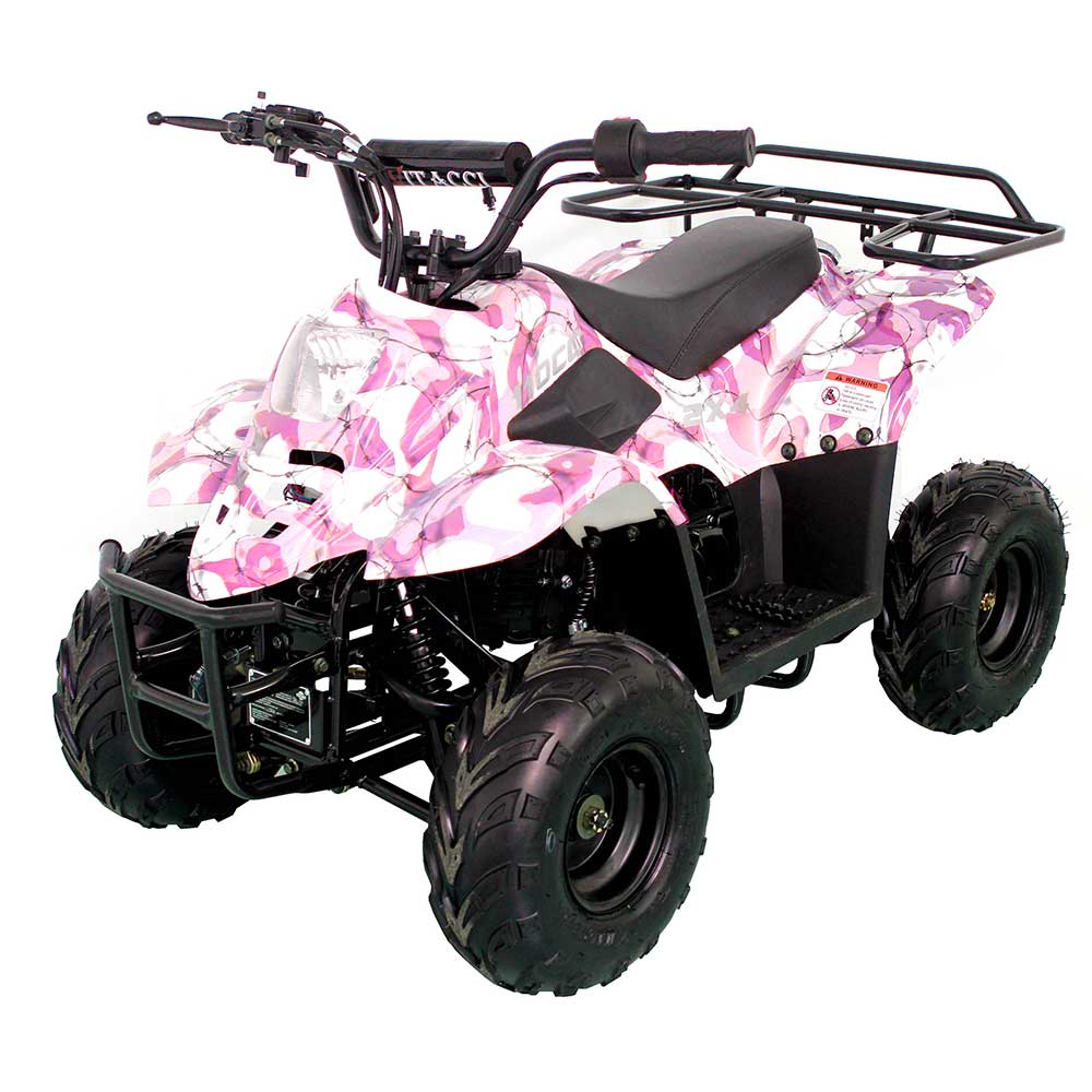 HAWK 110CC AUTOMATIC ATV - TurboPowersports.com