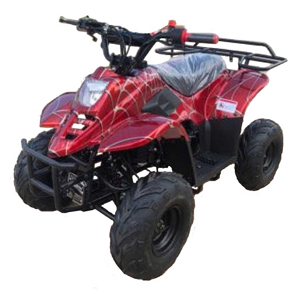 HAWK 110CC AUTOMATIC ATV - TurboPowersports.com