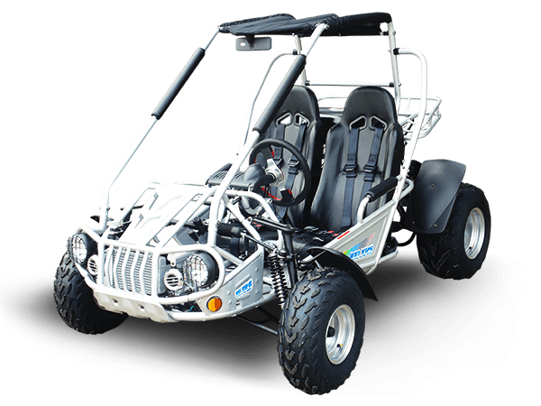 TM BOBCAT 300 XRS GO KART BUGGY - TurboPowersports.com