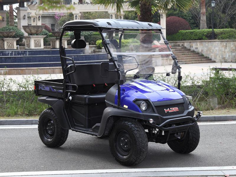 HJS BIGHORN 200 VX 4X2 UTV GOLF CART - TurboPowersports.com