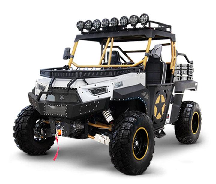 BMS THE BEAST 1000 2S | 2 Seater UTV - TurboPowersports.com