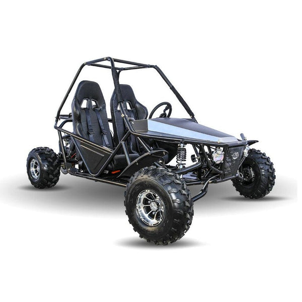 KD 200GKM-2A 200cc Automatic BUGGY with Reverse – TurboPowersports.com