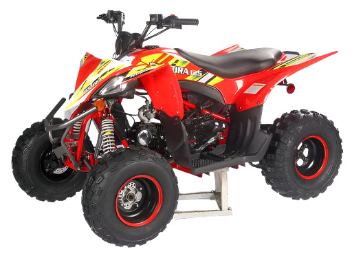 PENTORA 125CC ATV - TurboPowersports.com