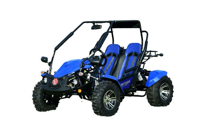 VENTURE 200 EFI AUTOMATIC GOKART - TurboPowersports.com