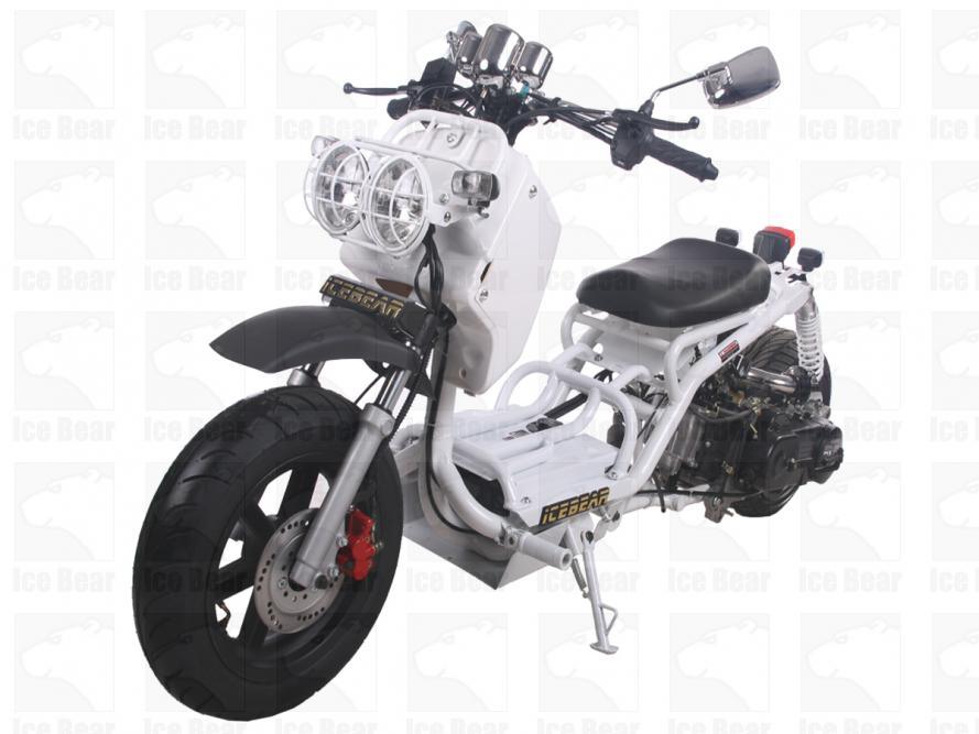 MADDOG GEN I 50cc PMZ50-19 SCOOTER - TurboPowersports.com