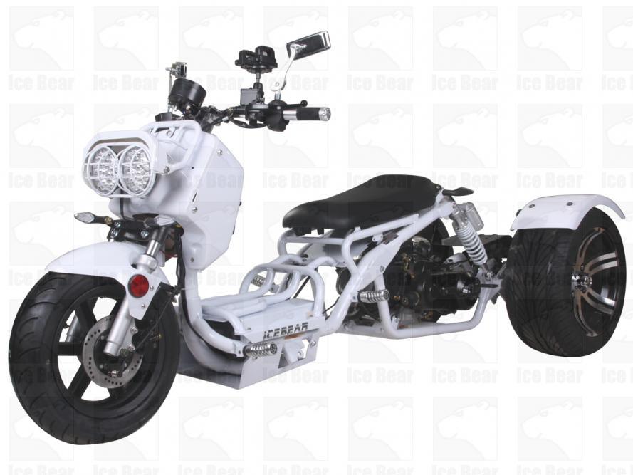 ICEBEAR MADDOG TRIKE 50cc PST50-19N - TurboPowersports.com